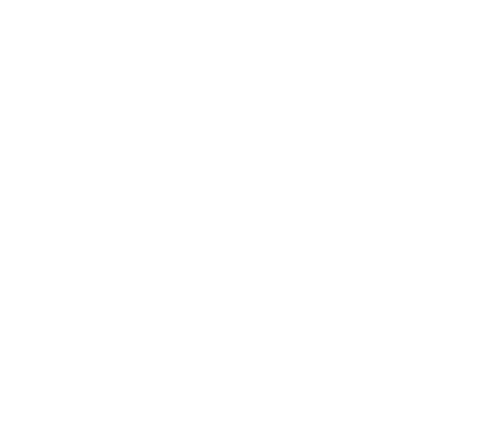 Friday Ice Party